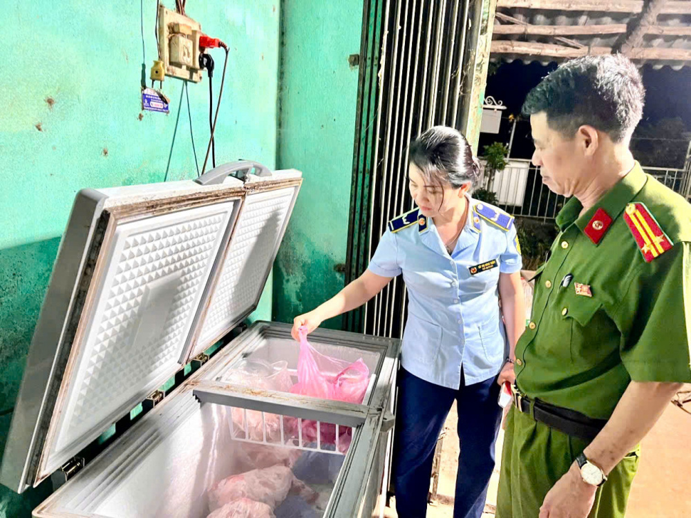 dịch bệnh Dịch tả lợn châu Phi 