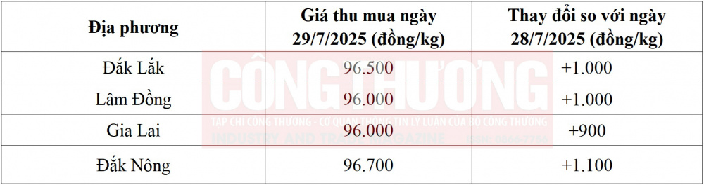 giá cà phê hôm nay