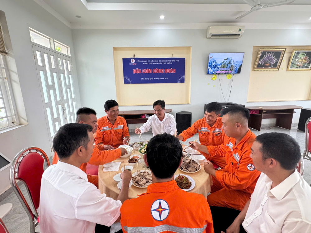 Công ty Điện lực Đồng Nai