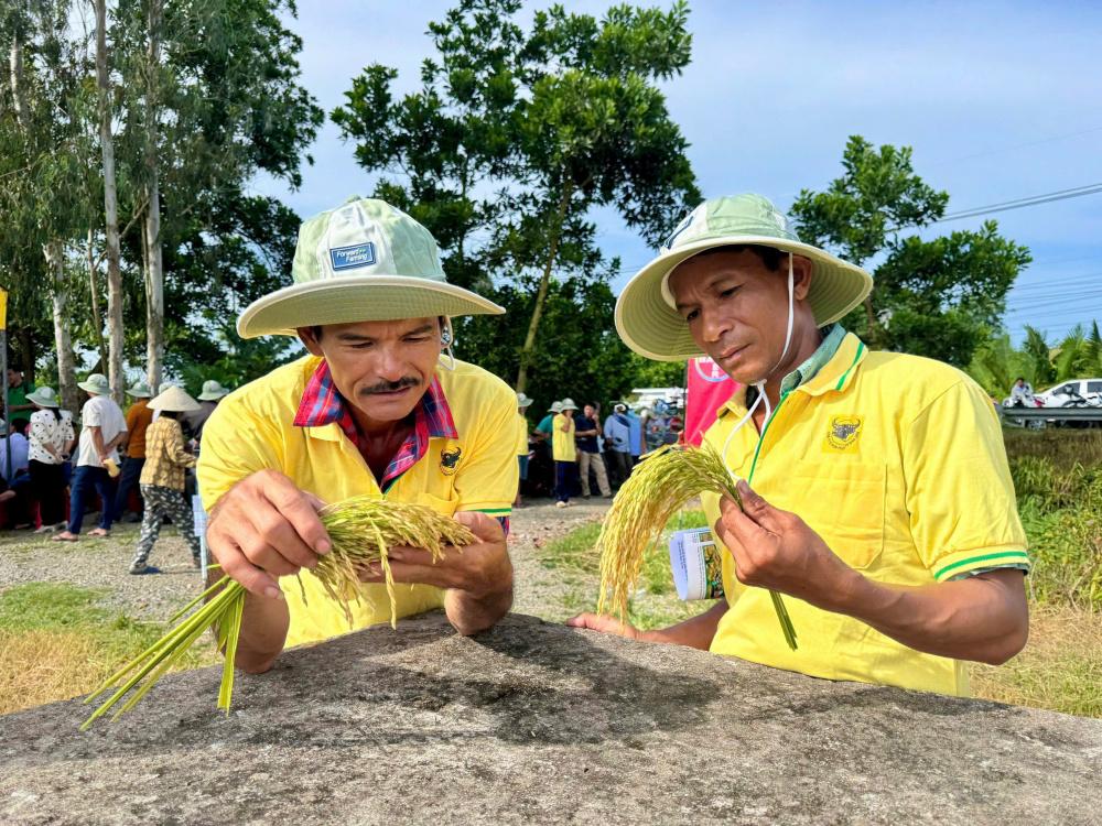 Đầu Trâu Bio-Canxi