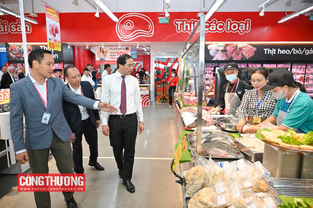 GO! Yên Bái, Lào Cai