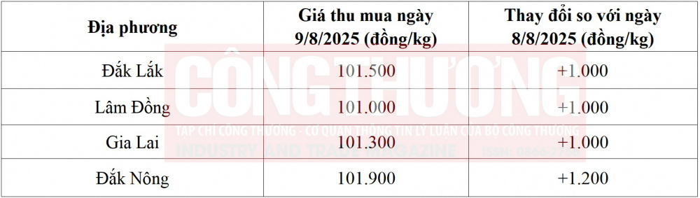 giá cà phê hôm nay