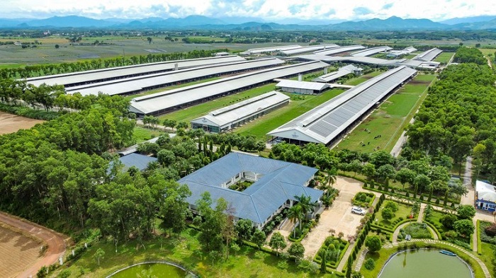 Hệ thống 15 trang trại đạt chuẩn Organic châu Âu và Global S.L.P là nền tảng giúp Vinamilk chủ động nguồn nguyên liệu chất lượng cao - Ảnh: Minh Anh