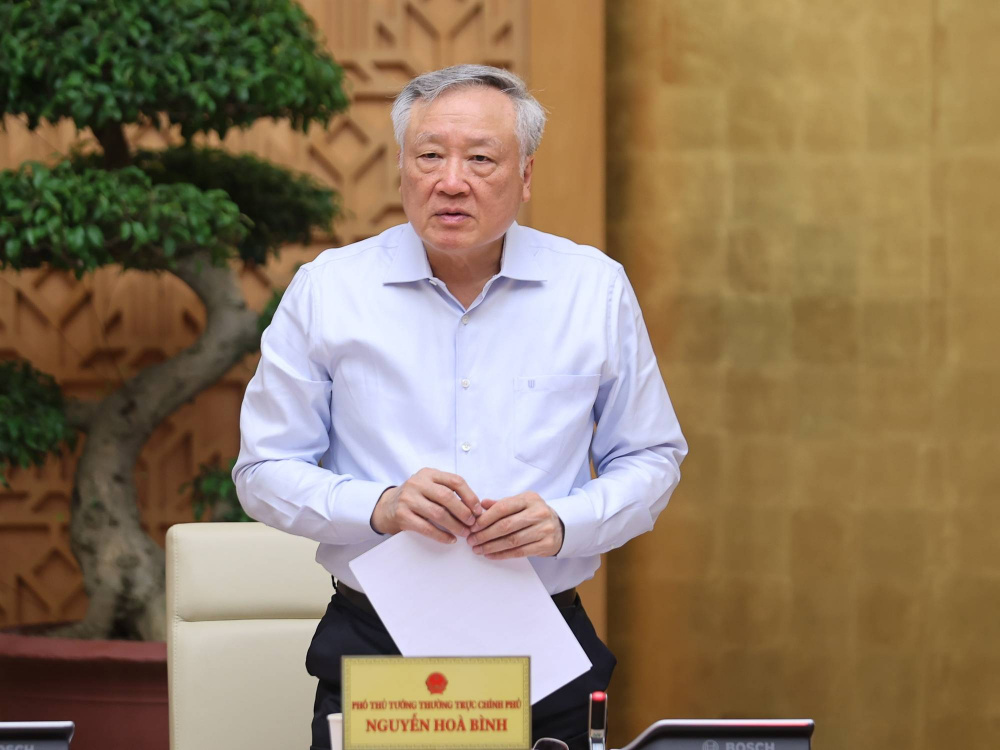 Phó Thủ tướng Thường trực Chính phủ Nguyễn Hòa Bình phát biểu tại phiên họp - Ảnh: VGP