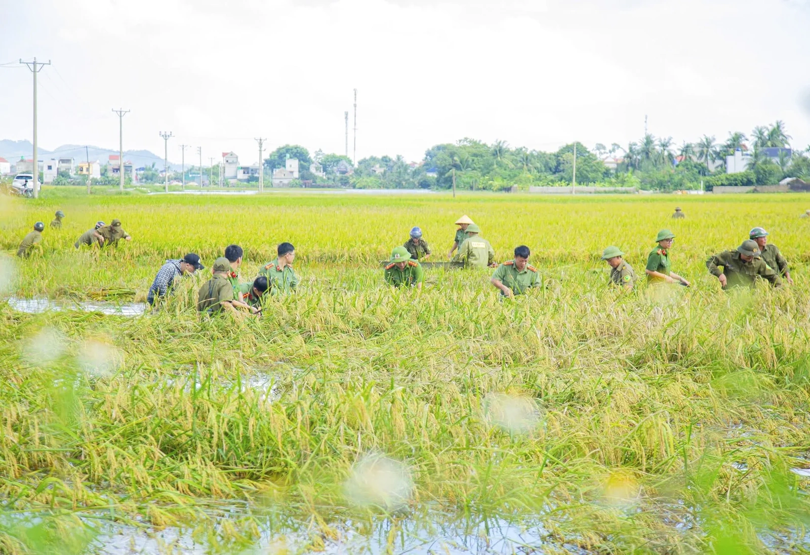 Bám trụ vùng lũ, chung tay đưa cuộc sống trở lại bình thường