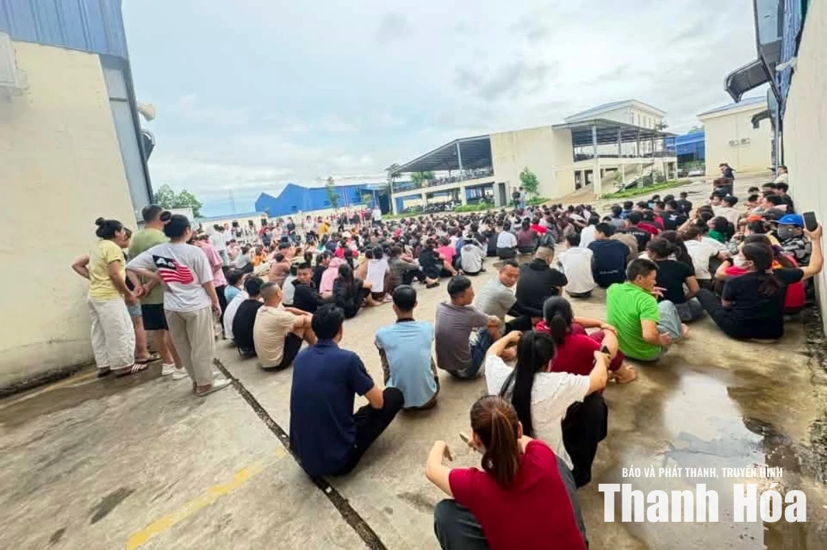 Hàng trăm công nhân Công ty TNHH Giày LongYi Việt Nam ngừng việc tập thể