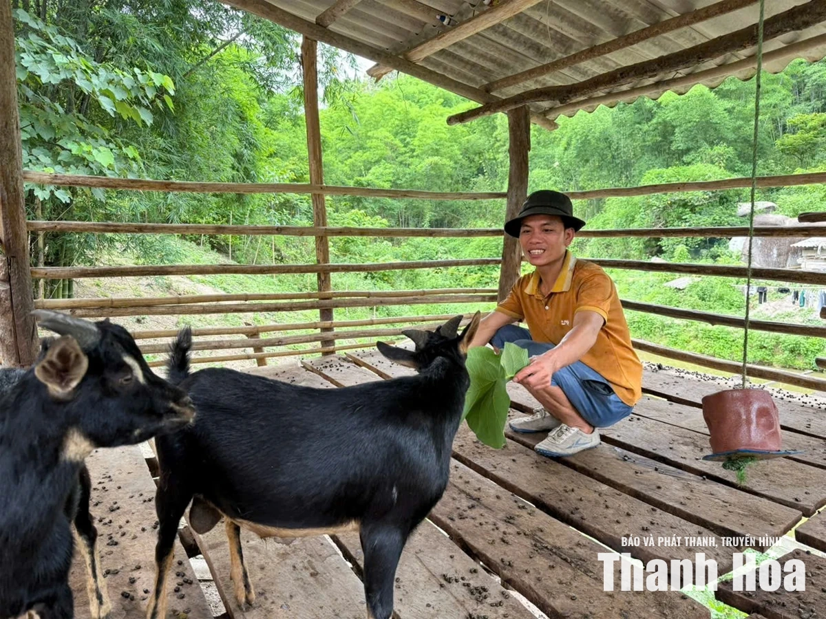 Chiếc túi thuốc nối việc bản, việc dân