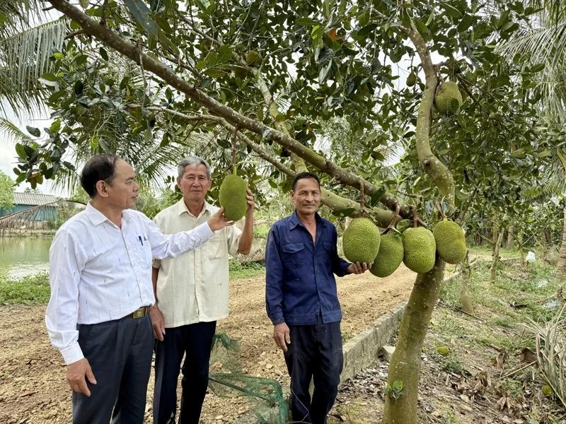Quan tâm, chăm sóc và phát huy vai trò người cao tuổi
