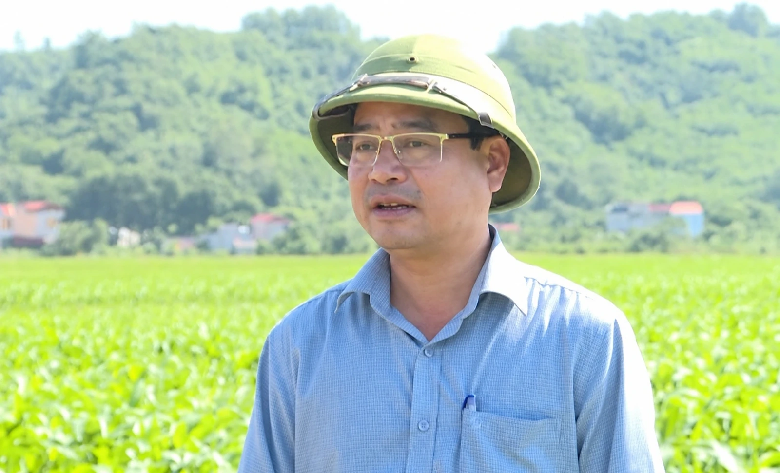 Nông dân nỗ lực chống nóng cho cây trồng