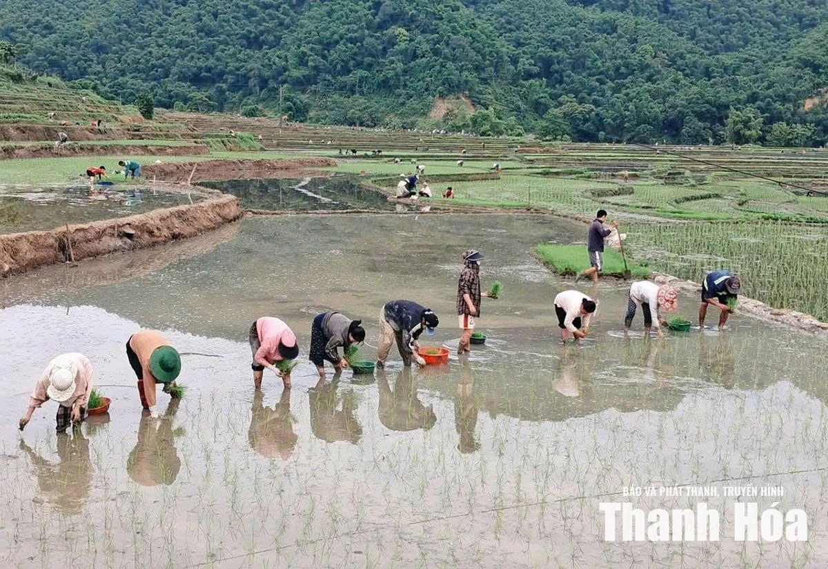 Tam Lư sau 1 năm thực hiện chính quyền địa phương 2 cấp