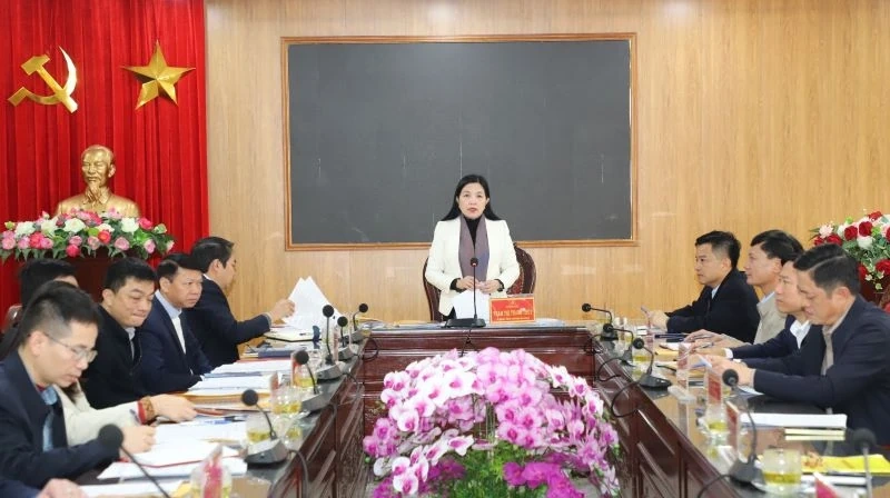 Gi&aacute;m s&aacute;t c&ocirc;ng t&aacute;c l&atilde;nh đạo, chỉ đạo, tổ chức thực hiện c&ocirc;ng t&aacute;c bầu cử đại biểu Quốc hội v&agrave; HĐND c&aacute;c cấp