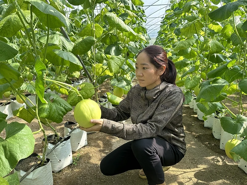 Miền Tây xứ Thanh ghi nhớ lời Người!