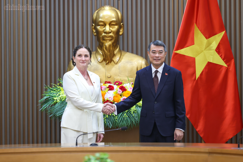 Thủ tướng Lê Minh Hưng tiếp Đại sứ New Zealand: Việt Nam là đối tác quan trọng tại khu vực- Ảnh 1.