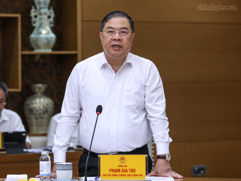 Thủ tướng: Cắt giảm tối đa các khâu trung gian, giảm chi phí, bảo đảm đủ xăng dầu trong mọi tình huống- Ảnh 3.