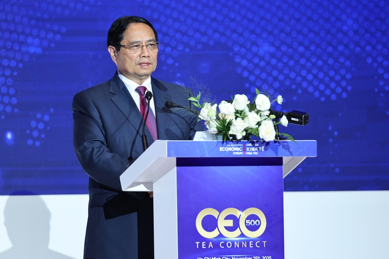 Thủ tướng: Vừa tự lực, tự cường, vừa đẩy mạnh hợp tác để TPHCM trở thành 