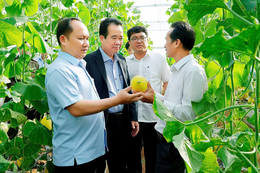 Đồng chí Rah Lan Chung-Phó Bí thư Thường trực Tỉnh ủy, Chủ tịch HĐND tỉnh (bìa trái) tham quan vườn dưa lưới của nông dân xã Ia Phí. Ảnh: Đức Thụy 111.jpg