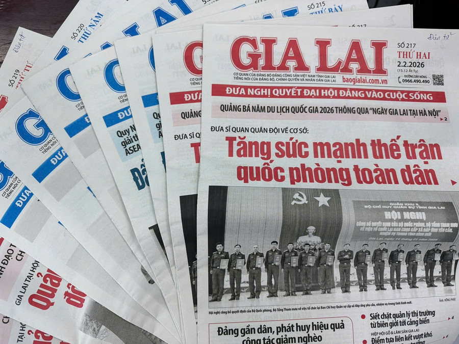 Cấp, phát các ấn phẩm Báo Gia Lai cho đảng viên từ 40 năm tuổi Đảng trở lên. Ảnh: Phương Vi bao-gia-lai.jpg