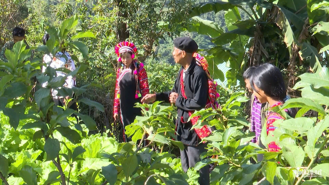 W-La Hủ 334.jpg