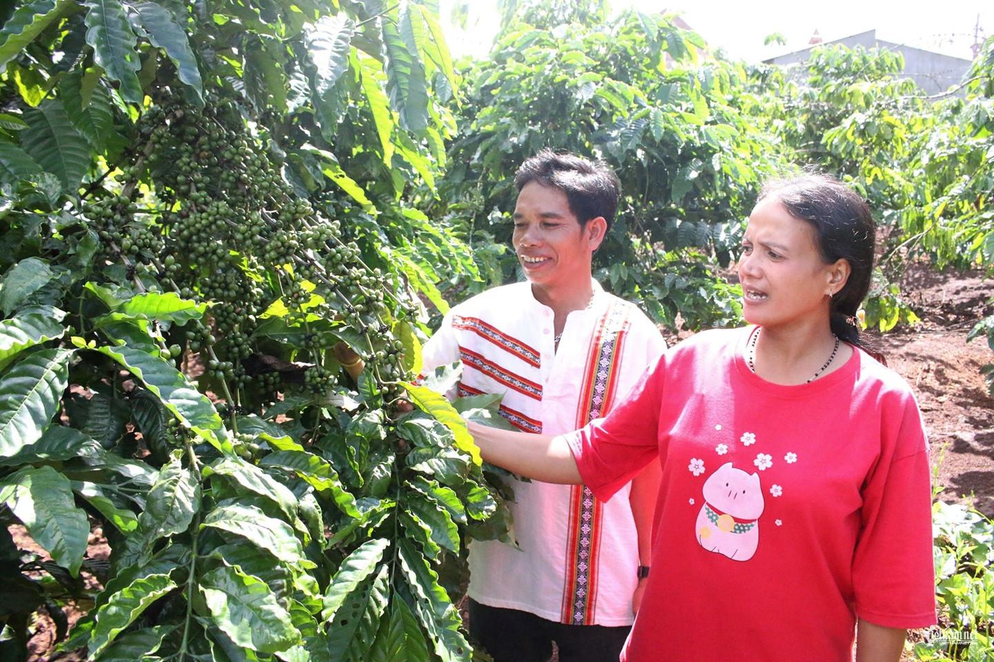 W-Ngọc Chí ảnh 4.jpg