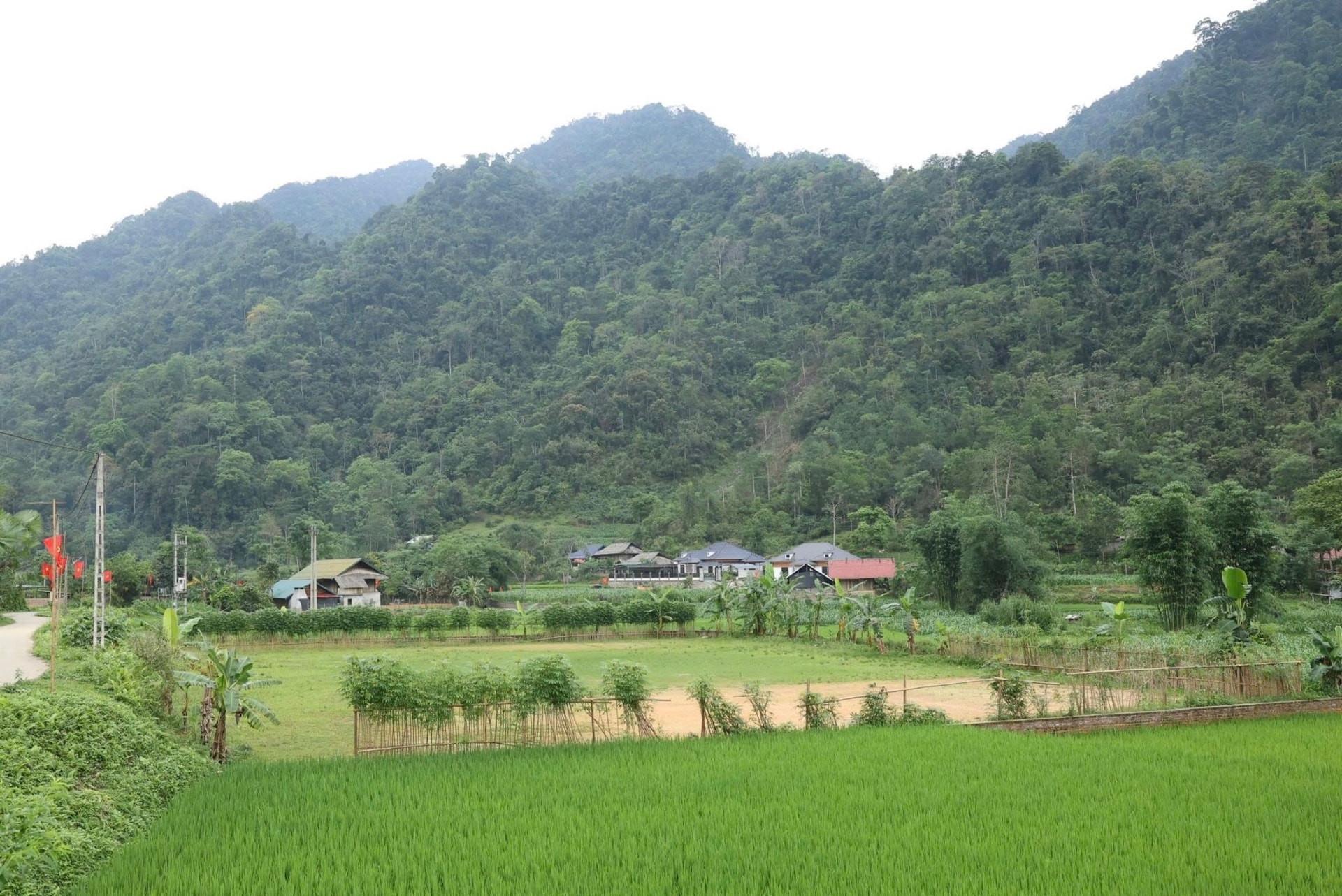 Chuyển đổi số 1.jpg