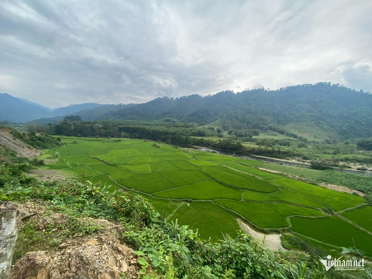 W-ruộng lúa người dân Đan Lai ở Khe Búng.jpg