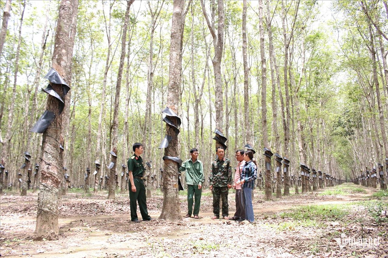 W-Ngọc Chí ảnh 1.jpg