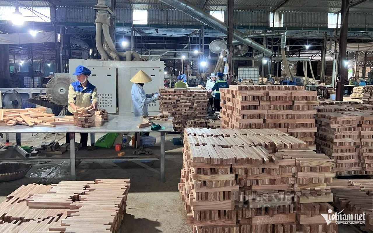 W-Việc Thủ tướng Chính phủ phê duyệt thành lập Khu lâm nghiệp ứng dụng công nghệ cao vùng miền Tây Nghệ An đang mở ra cơ hội để ngành lâm nghiệp tiến xa hơn.jpg