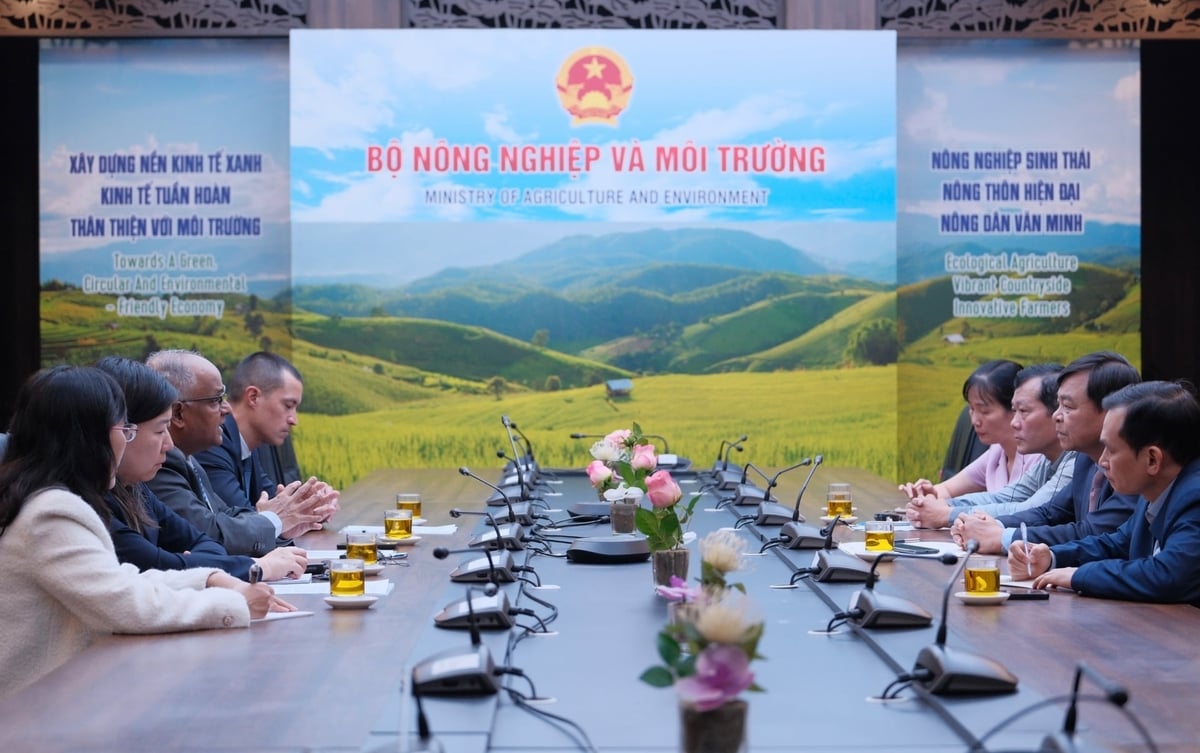 Cuộc họp giữa Thứ trưởng Nguyễn Hoàng Hiệp và Giám đốc Quốc gia ADB Việt Nam chiều 5/12. Ảnh: Diệp Anh. Cuộc họp giữa Thứ trưởng Nguyễn Hoàng Hiệp và Giám đốc Quốc gia ADB Việt Nam chiều 5/12. Ảnh: Diệp Anh.