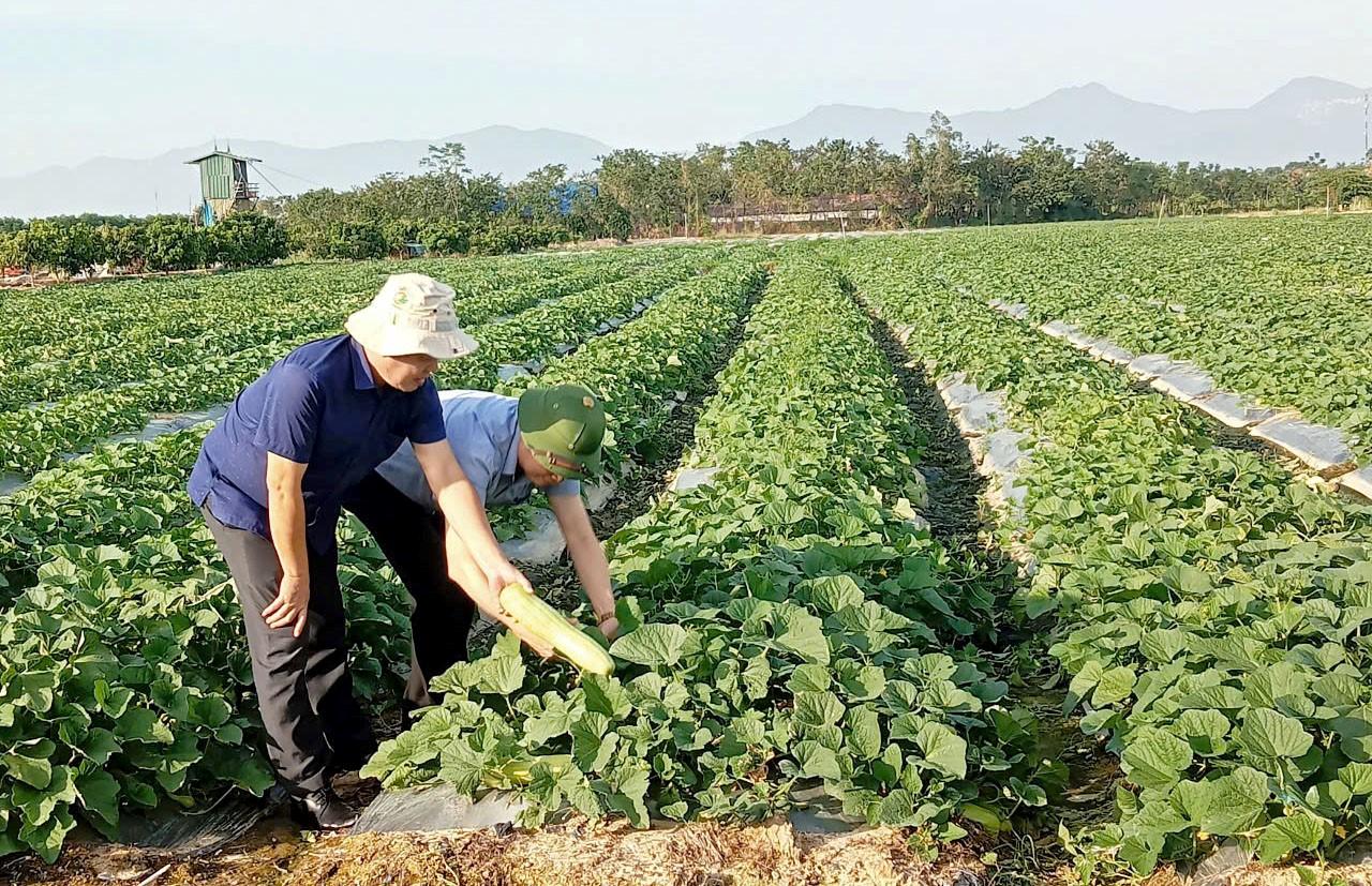 Nông dân Phú Thọ: Đổi mới tư duy, mở hướng làm giàu trên chính mảnh đất quê hương - Ảnh 2.