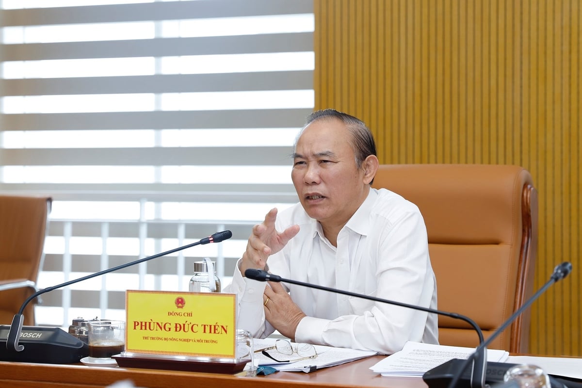 Thứ trưởng Phùng Đức Tiến chỉ đạo tại Hội nghị. Ảnh: Khương Trung.