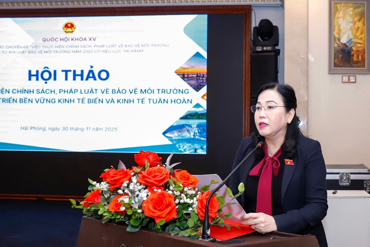 Bà Nguyễn Thanh Hải, Chủ nhiệm Ủy ban Khoa học, Công nghệ và Môi trường của Quốc hội. Ảnh: Khương Trung.