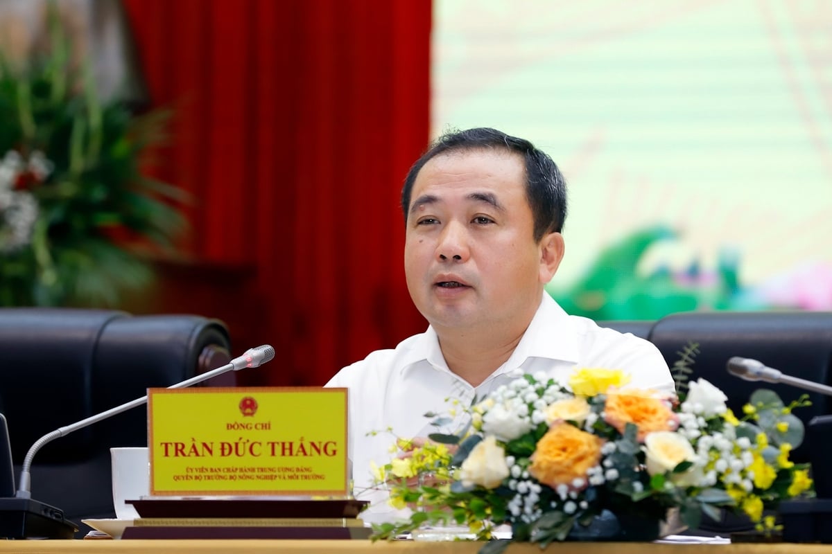 Quyền Bộ trưởng Trần Đức Thắng chỉ đạo Hội nghị. Ảnh: Khương Trung. Quyền Bộ trưởng Trần Đức Thắng chỉ đạo Hội nghị. Ảnh: Khương Trung.