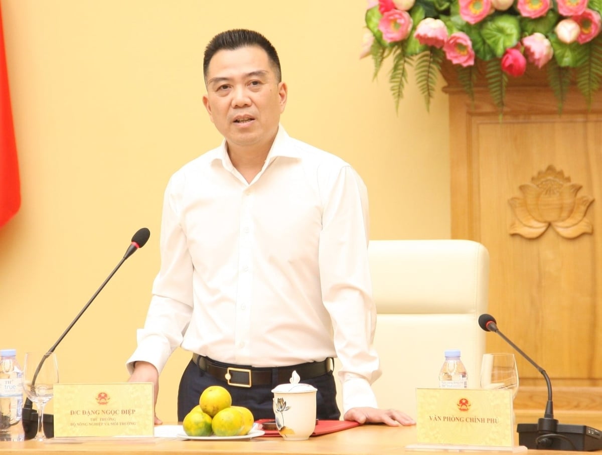 Thứ trưởng Bộ Nông nghiệp và Môi trường Đặng Ngọc Điệp phát biểu tại buổi lễ. Ảnh: Mai Đan.