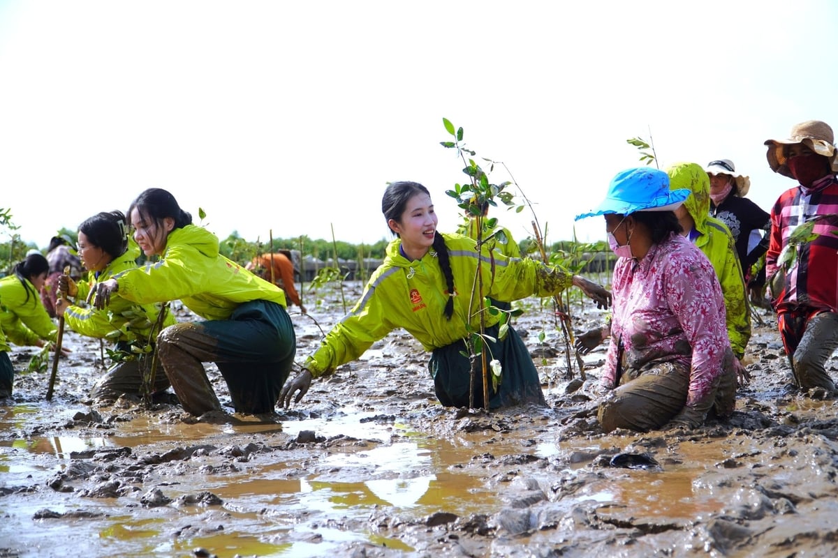 Trồng rừng là một trong những hoạt động thiết thực gắn liền với công tác bảo vệ môi trường, phục hồi hệ sinh thái tự nhiên. Ảnh: Kim Anh. Trồng rừng là một trong những hoạt động thiết thực gắn liền với công tác bảo vệ môi trường, phục hồi hệ sinh thái tự nhiên. Ảnh: Kim Anh.