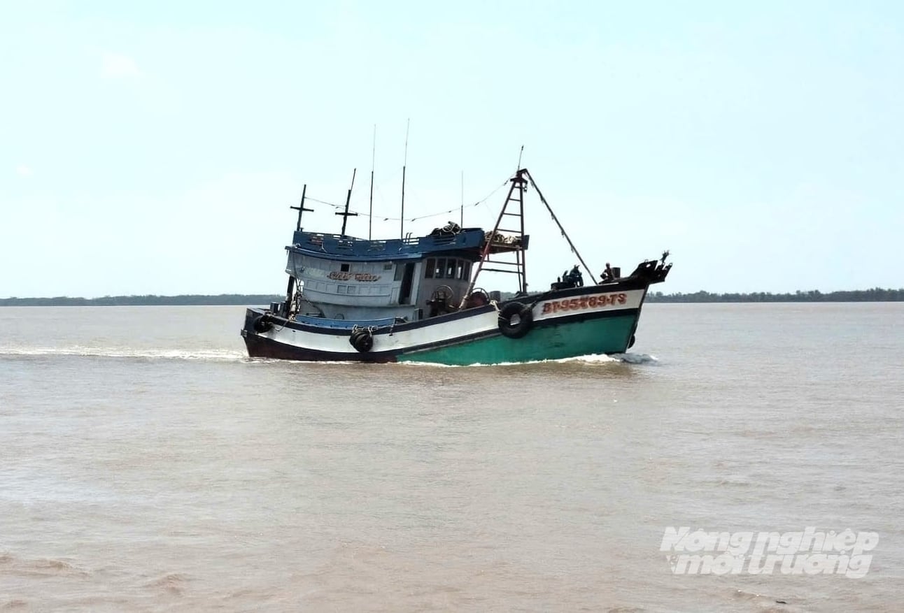 Vĩnh Long hiện quản lý 4.550 tàu cá. Ảnh: Minh Đảm.