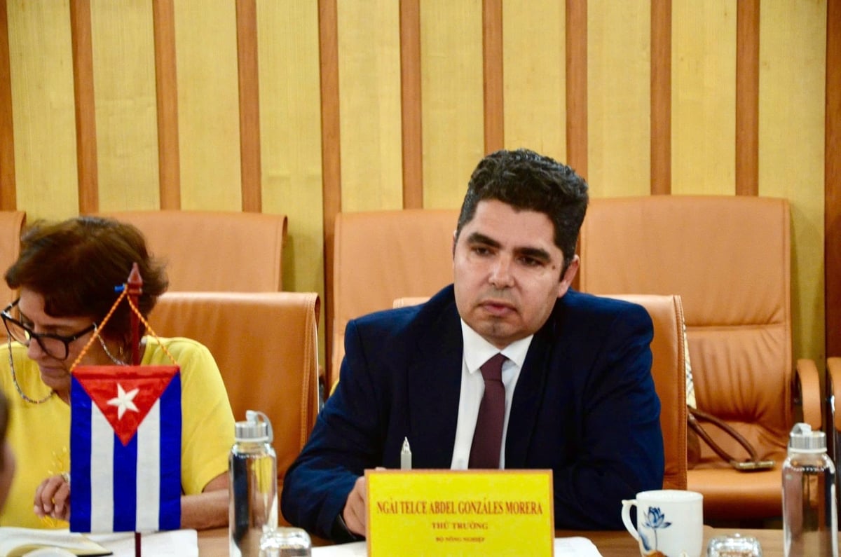 Thứ trưởng Bộ Nông nghiệp Cuba Telce González Morera trao đổi về định hướng hợp tác nông nghiệp giữa hai nước. Ảnh: Hồng Ngọc. Thứ trưởng Bộ Nông nghiệp Cuba Telce González Morera trao đổi về định hướng hợp tác nông nghiệp giữa hai nước. Ảnh: Hồng Ngọc.