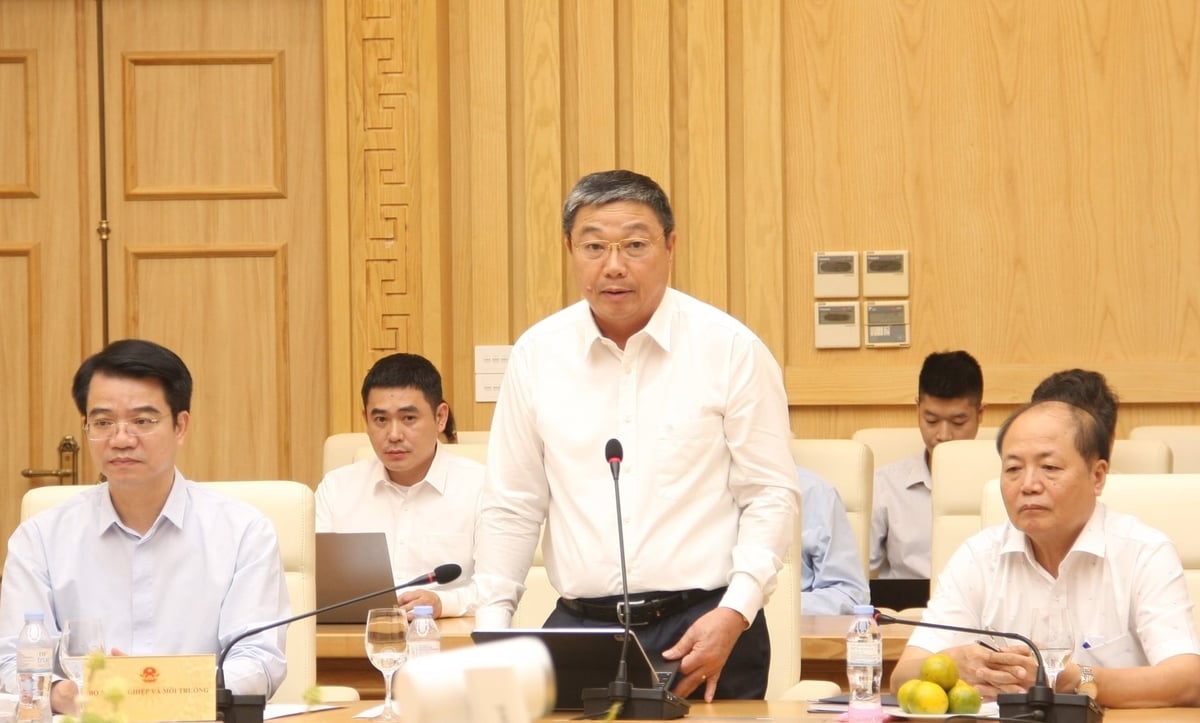 Ông Trần Bình Trọng, Cục trưởng Cục Địa chất và Khoáng sản Việt Nam phát biểu nhận nhiệm vụ. Ảnh: Mai Đan.