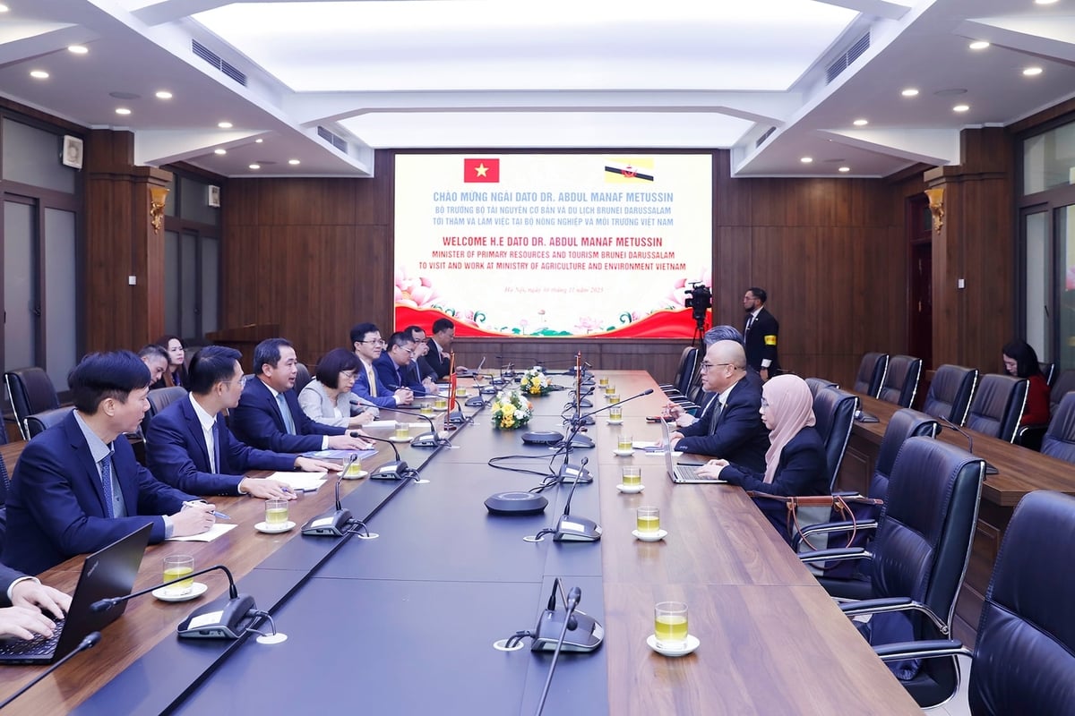 Bộ trưởng Bộ Nông nghiệp và Môi trường Trần Đức Thắng đã tiếp và làm việc với Bộ trưởng Tài nguyên cơ bản và Du lịch Brunei Darussalam Dato DR. Abdul Manaf Metussin. Ảnh: Khương Trung.