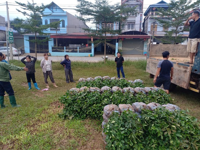 Thái Nguyên: Xã Phú Đình nỗ lực giảm nghèo bền vững sau sáp nhập - Ảnh 1. Thái Nguyên: Xã Phú Đình nỗ lực giảm nghèo bền vững sau sáp nhập - Ảnh 1.