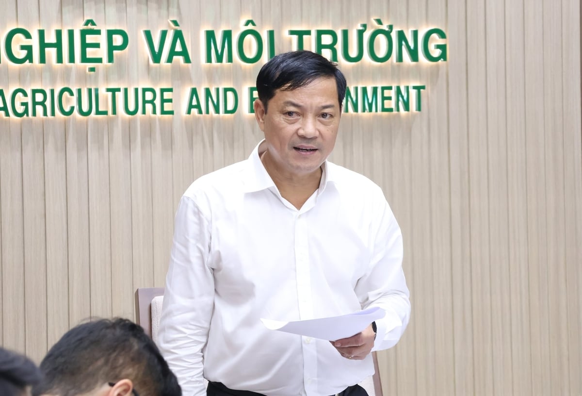 Thứ trưởng Bộ Nông nghiệp và Môi trường Lê Trọng Yên chủ trì buổi làm việc. Ảnh: Trung Nguyên.