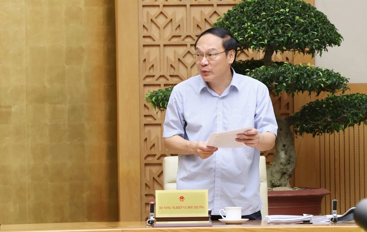 Thứ trưởng Bộ NN&MT Lê Công Thành báo cáo. Ảnh: VGP/Gia Huy.