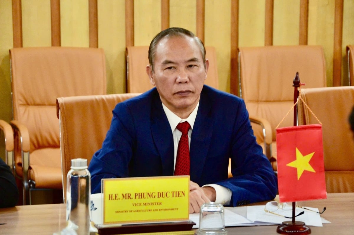 Thứ trưởng Bộ Nông nghiệp và Môi trường Phùng Đức Tiến tại buổi làm việc với đoàn Cuba, chiều 25/8. Ảnh: Hồng Ngọc. Thứ trưởng Bộ Nông nghiệp và Môi trường Phùng Đức Tiến tại buổi làm việc với đoàn Cuba, chiều 25/8. Ảnh: Hồng Ngọc.