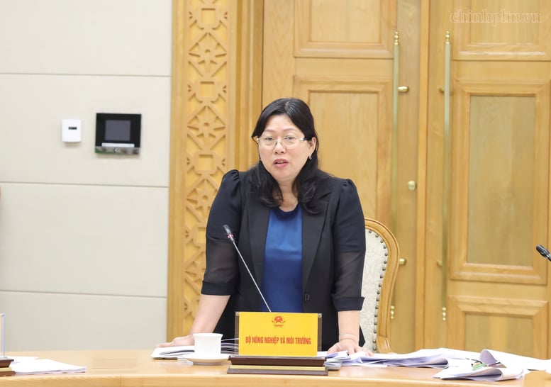 Thứ trưởng Bộ Nông nghiệp và Môi trường Nguyễn Thị Phương Hoa báo cáo tại cuộc họp. Ảnh: Chinhphu.vn.