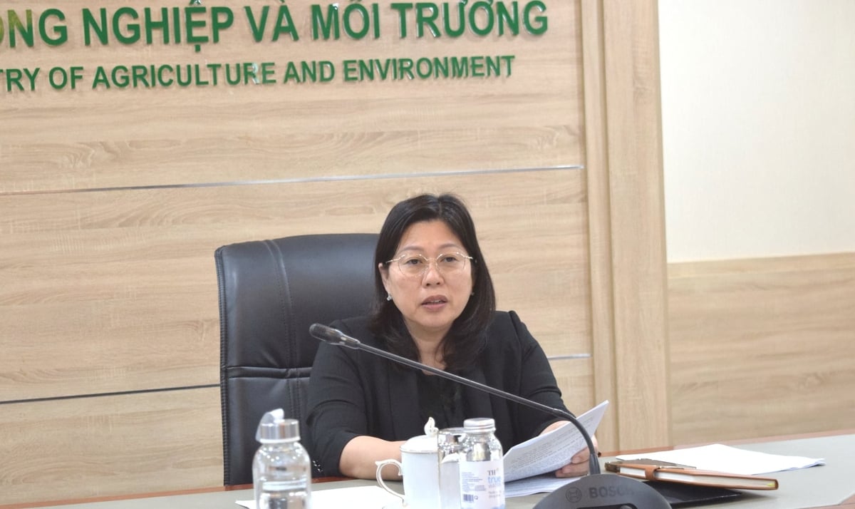 Thứ trưởng yêu cầu Cục Biển và Hải đảo Việt Nam trong năm 2026 tập trung vào việc xây dựng Luật Tài nguyên, môi trường biển và hải đảo. Ảnh: Trường Giang. Thứ trưởng yêu cầu Cục Biển và Hải đảo Việt Nam trong năm 2026 tập trung vào việc xây dựng Luật Tài nguyên, môi trường biển và hải đảo. Ảnh: Trường Giang.