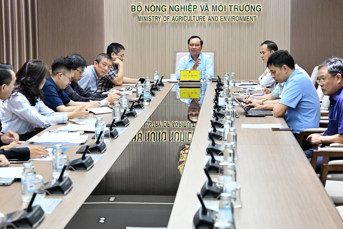 Thứ trưởng Võ Văn Hưng chủ trì phiên họp sáng 18/9. Ảnh: Bảo Thắng.