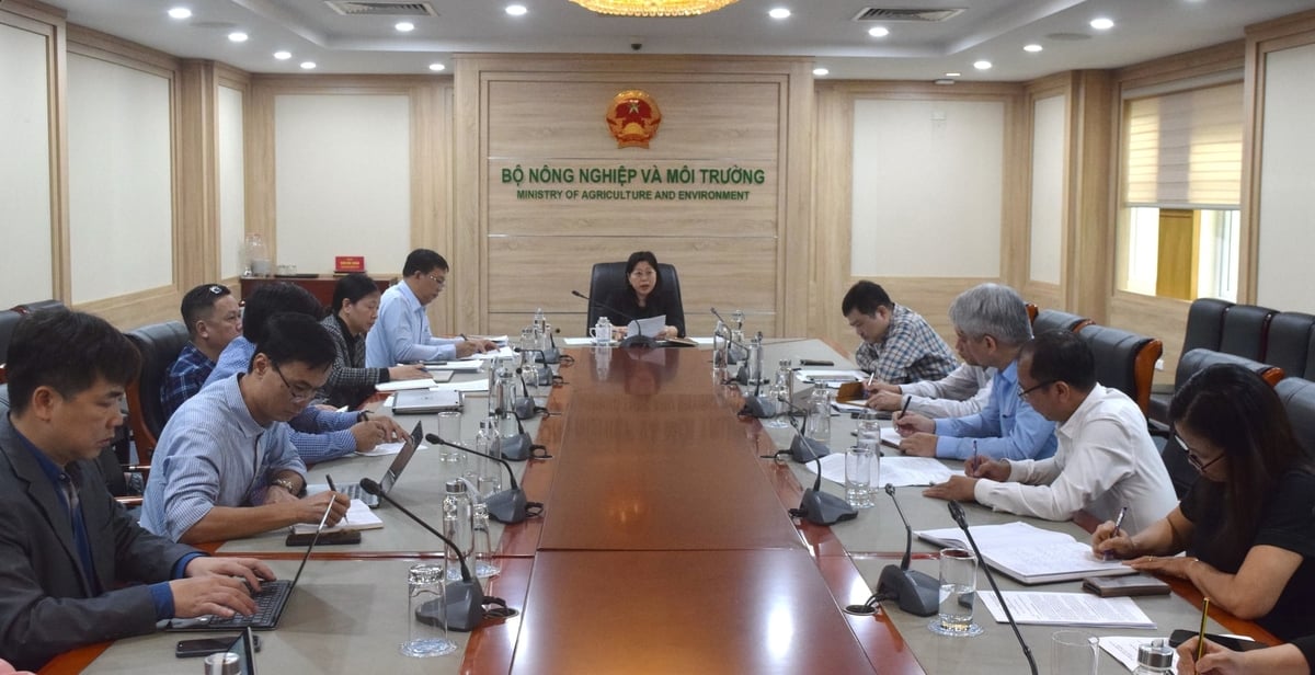 Cục Biển và Hải đảo đề xuất mở mới một số nhiệm vụ khoa học - công nghệ cấp Bộ và cấp cơ sở, nhằm cung cấp luận cứ khoa học, thực tiễn cho quá trình sửa đổi, bổ sung Luật. Ảnh: Trường Giang. Cục Biển và Hải đảo đề xuất mở mới một số nhiệm vụ khoa học - công nghệ cấp Bộ và cấp cơ sở, nhằm cung cấp luận cứ khoa học, thực tiễn cho quá trình sửa đổi, bổ sung Luật. Ảnh: Trường Giang.