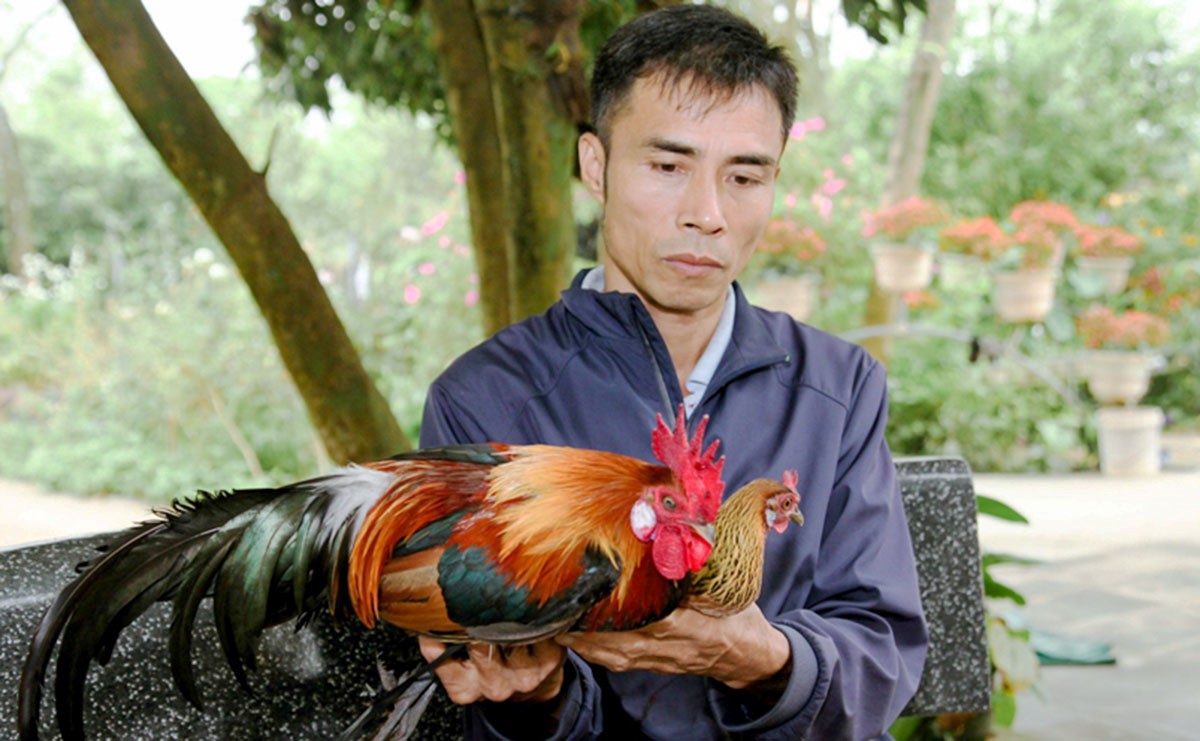 Nông dân Phú Thọ: Đổi mới tư duy, mở hướng làm giàu trên chính mảnh đất quê hương - Ảnh 3.