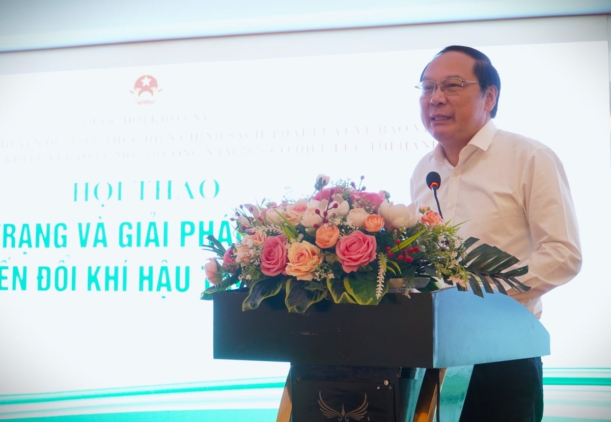 Thứ trưởng Bộ Nông nghiệp và Môi trường Lê Công Thành chia sẻ định hướng, giải pháp của ngành trong việc ứng phó biến đổi khí hậu. Ảnh: Kim Anh. Thứ trưởng Bộ Nông nghiệp và Môi trường Lê Công Thành chia sẻ định hướng, giải pháp của ngành trong việc ứng phó biến đổi khí hậu. Ảnh: Kim Anh.