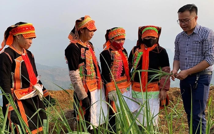 Chương trình MTQG giảm nghèo bền vững 2026-2035 bảo đảm phát huy lợi thế vùng miền, lấy người dân làm trung tâm. Ảnh: Báo Phụ nữ. Chương trình MTQG giảm nghèo bền vững 2026-2035 bảo đảm phát huy lợi thế vùng miền, lấy người dân làm trung tâm. Ảnh: Báo Phụ nữ.