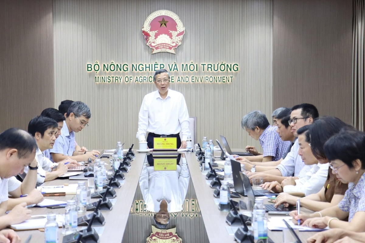 Thứ trưởng Hoàng Trung chủ trì cuộc họp rà soát hồ sơ phê duyệt kế hoạch khoa học công nghệ 5 năm giai đoạn 2026-2030 và nhiệm vụ khoa học công nghệ năm 2027 của Bộ Nông nghiệp và Môi trường. Ảnh: Nguyễn Thủy.